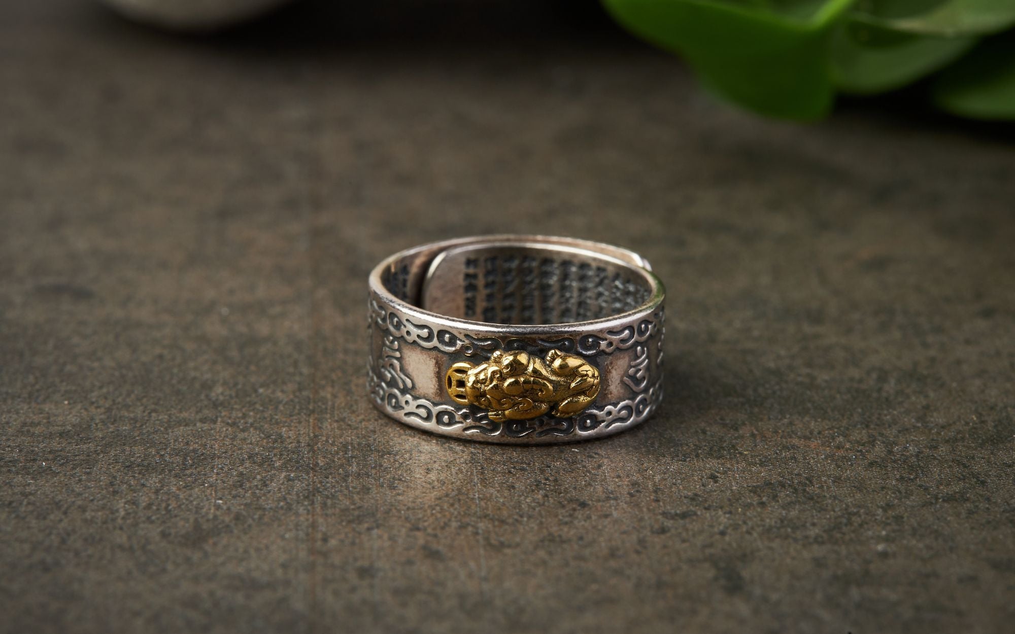 Pixiu Ring Bedeutung