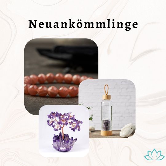 Neuankömmlinge